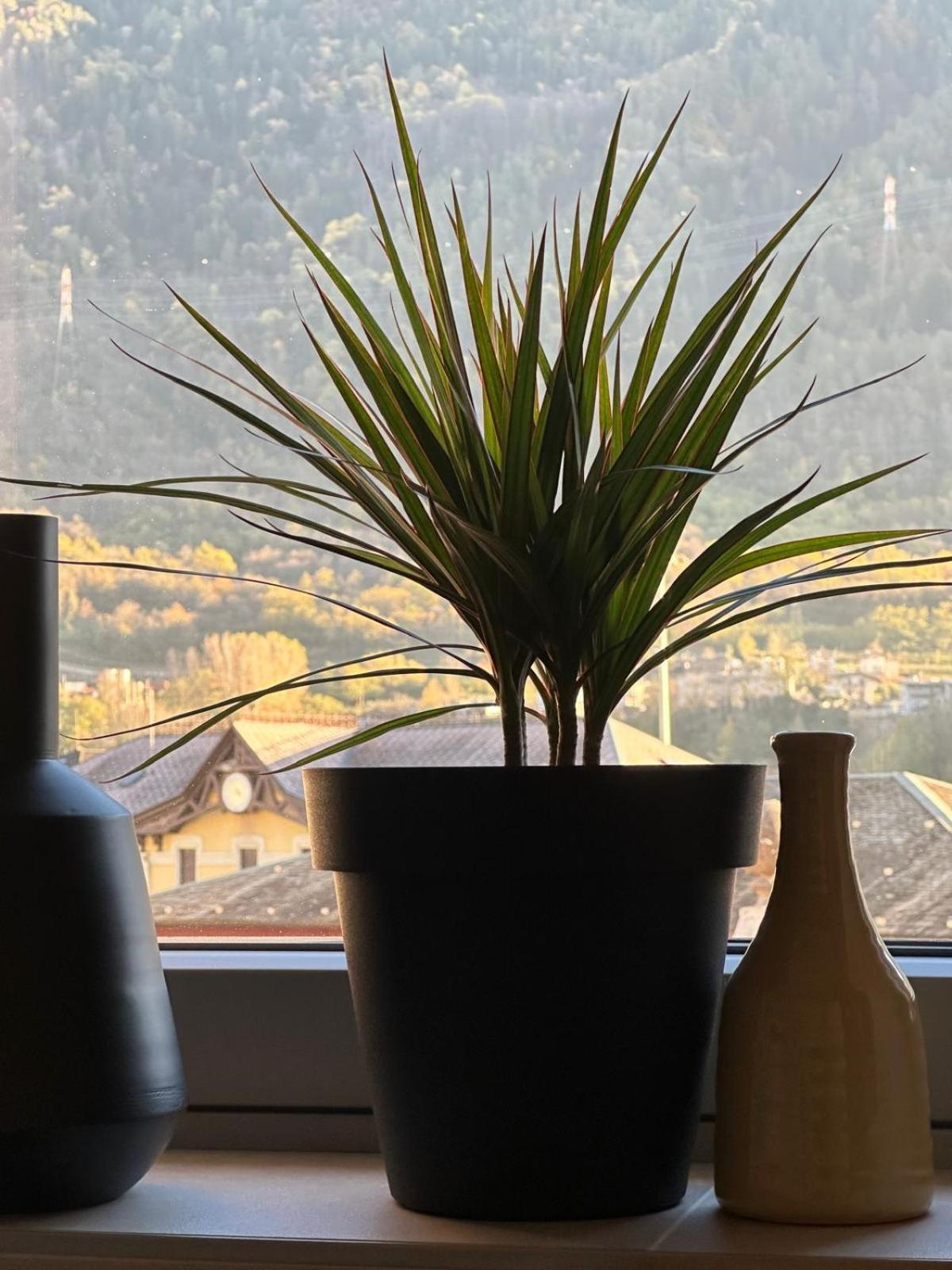 Terra Hotel Boutique Tirano Bagian luar foto